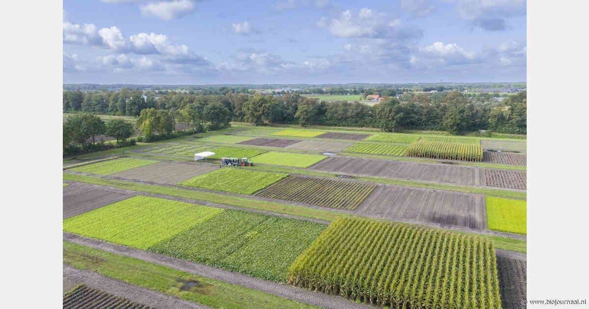 WUR: minder chemie vraagt om aanpak van het hele bouwplan