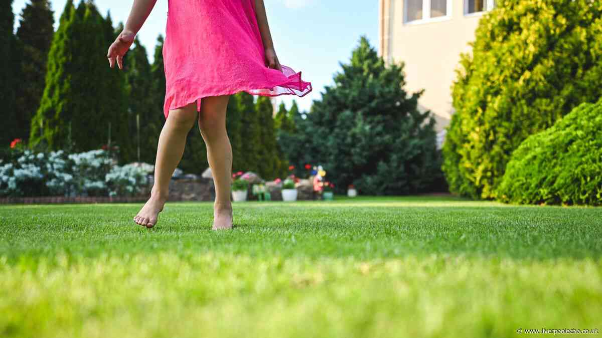 Gardeners urged to sprinkle £1 ingredient in July for thicker, greener lawns