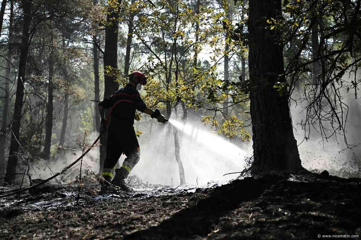 Près de 11.000 feux, 35.000 hectares touchés… La surface brûlée par les incendies en France a (hélas) déjà dépassé les chiffres de 2025
