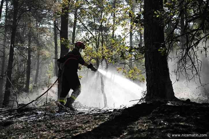 Près de 11.000 feux, 35.000 hectares touchés… La surface brûlée par les incendies en France a (hélas) déjà dépassé les chiffres de 2025