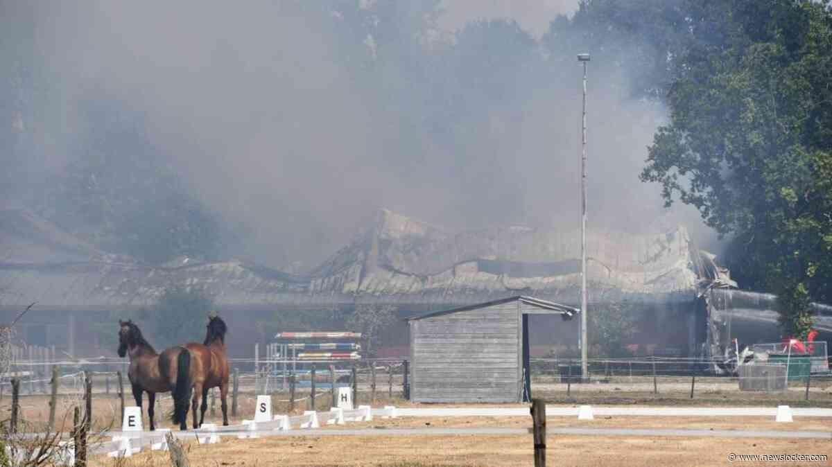 Grote brand verwoest stal in Clinge: mogelijk nog dieren aanwezig