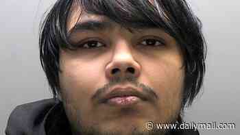 Two 'Scattered Spider' teen hackers who orchestrated £29million TfL cyber attack from their bedrooms are jailed for five years and six months