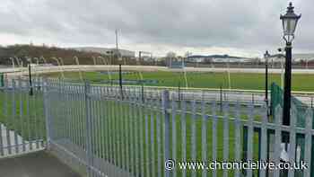 RSPCA investigation into three greyhound deaths at kennels attached to North East dog track