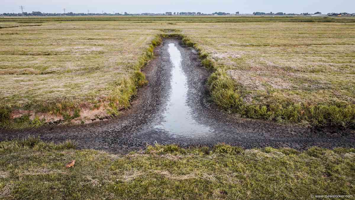 LIVE | Watertekort in Nederland: extra maatregelen om droogte