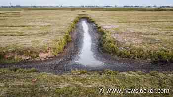 LIVE | Watertekort in Nederland: extra maatregelen om droogte