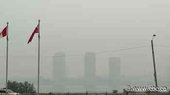 How to mitigate effects of wildfire smoke-fuelled poor air quality in our region