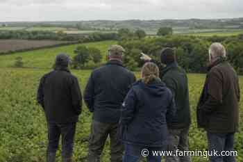 New £30m fund to help farmers collaborate and cut costs