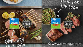 £300,000 campaign urges shoppers to back Welsh meat