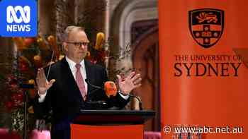 Albanese announces AI plan, Hanson joins Rinehart in Sicily