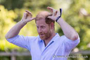 Prince Harry finally answers the question: 'What do you actually do?'