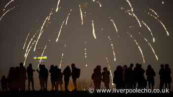 Crackdown on loud fireworks causing 'fear and harm' to families and pets
