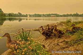 Air Quality Ontario forecasts improvement for Sudbury later today and Friday