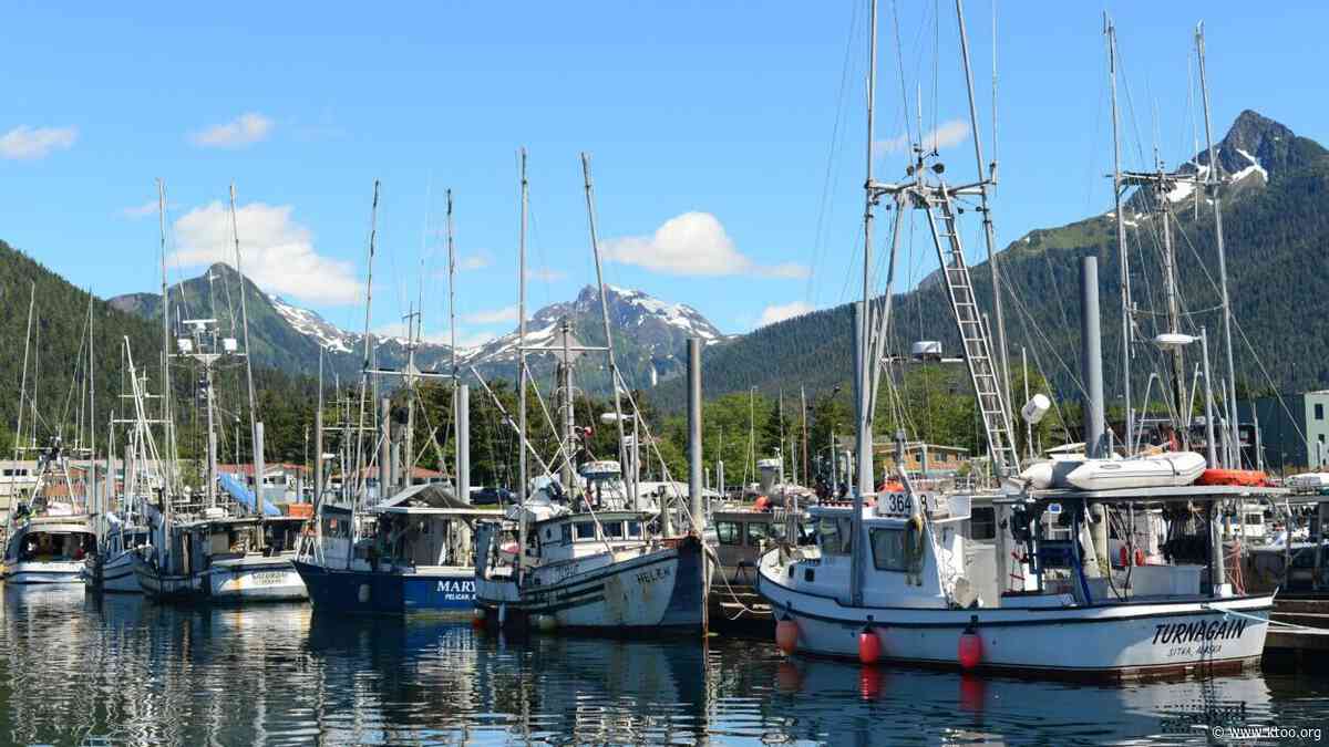 Commercial troll fishery stays open with half of allotted kings remaining