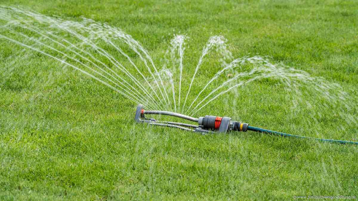Achtung! Braunschweig schränkt Beregnung zeitweise ein - diese Regeln gelten jetzt