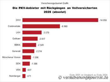 Dies sind die privaten Krankenversicherer mit dem größten Vollversichertenschwund