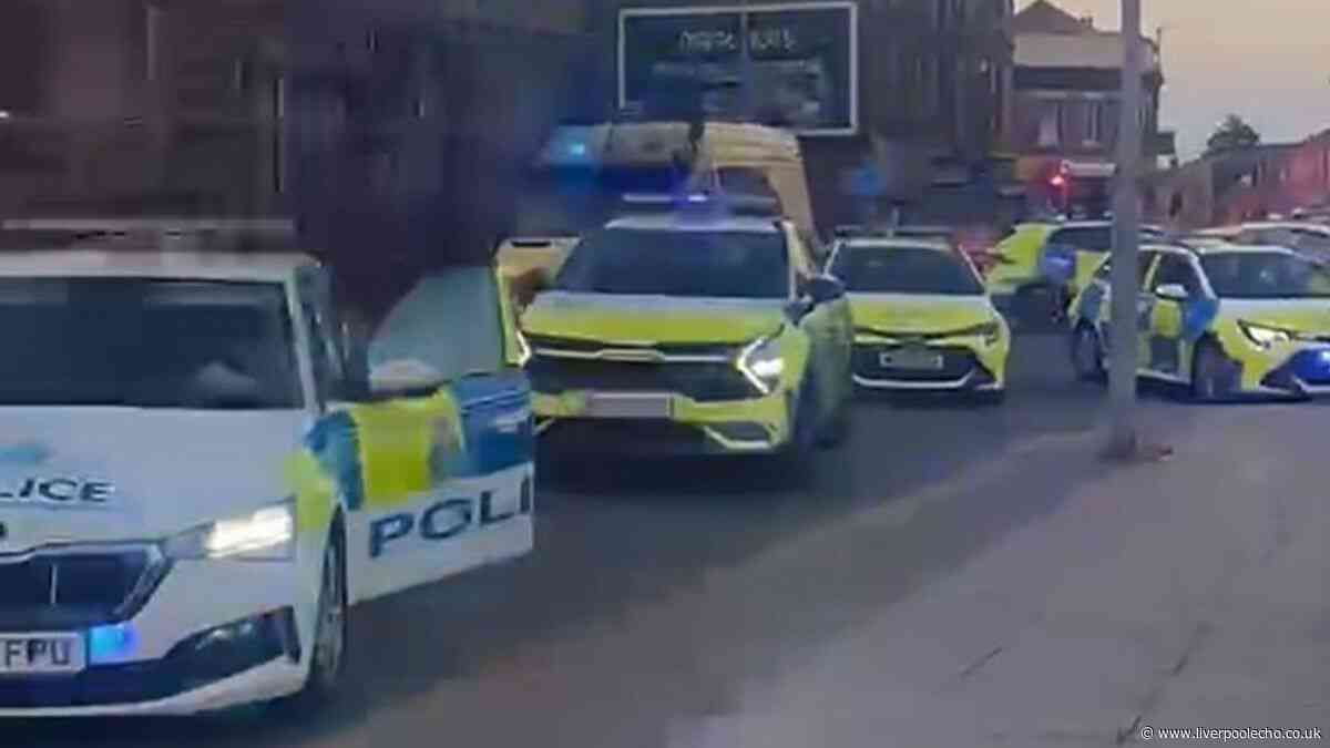 Men named after police officer allegedly punched on Breck Road