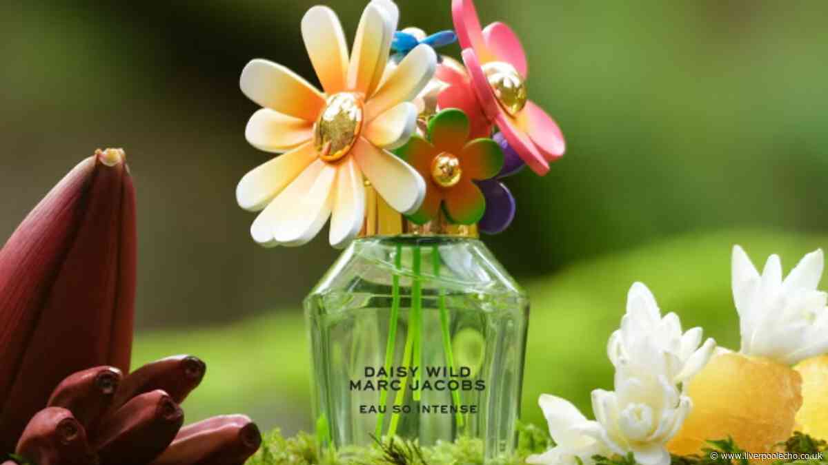 Boots cuts price of Marc Jacobs perfume 'like sunshine' with limited-time code
