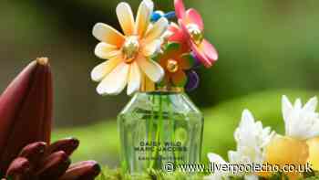 Boots cuts price of Marc Jacobs perfume 'like sunshine' with limited-time code