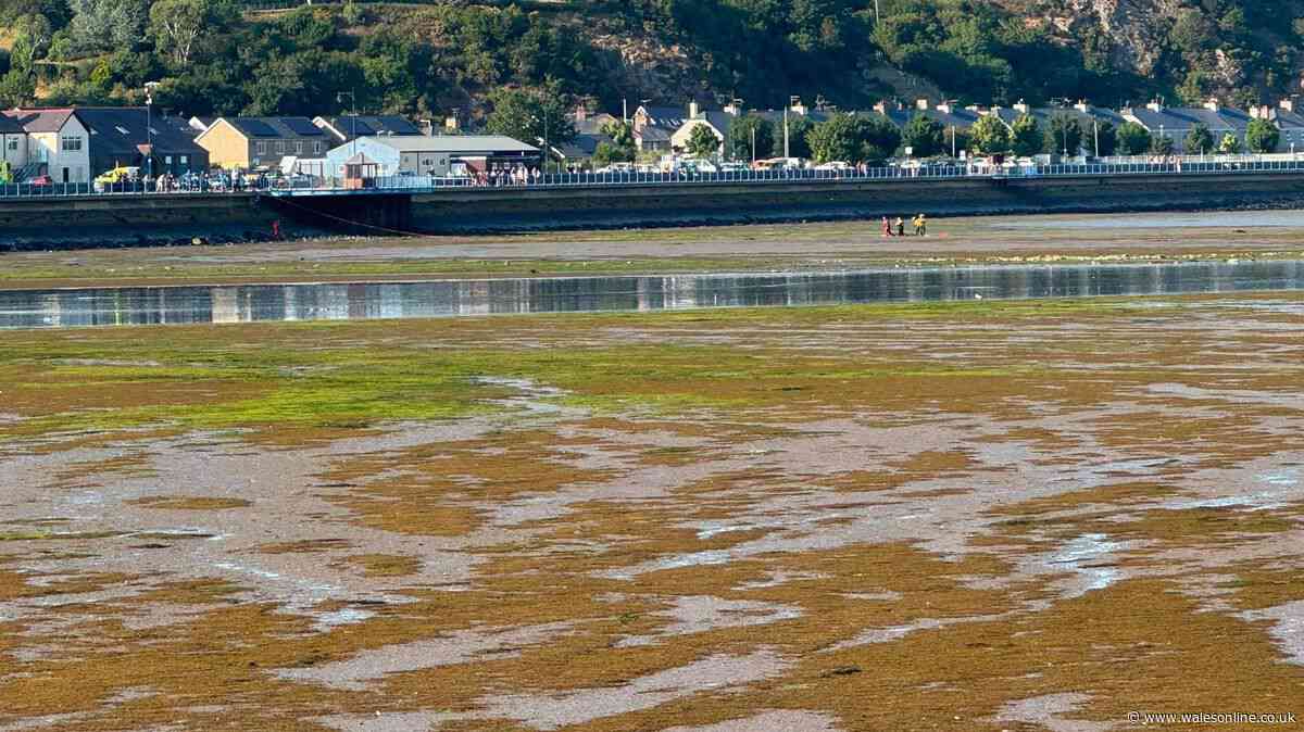 Man rescued after getting trapped in mud at Welsh harbour