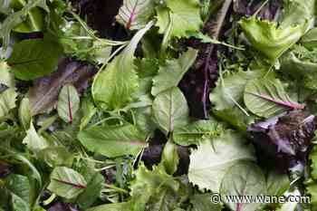 Parkview removes lettuce, salad from facilities amid nationwide cyclosporiasis outbreak
