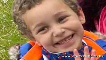 Mum who murdered five-year-old Logan Mwangi wants conviction reviewed