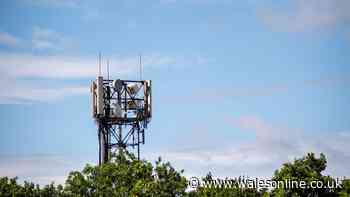 Britain’s mobile networks are falling behind global rivals - ranking issued