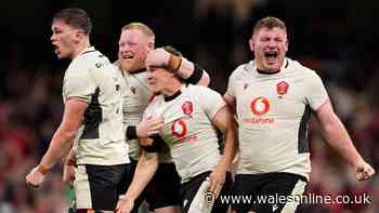 The 13 Wales players who haven't featured this summer as opportunity missed