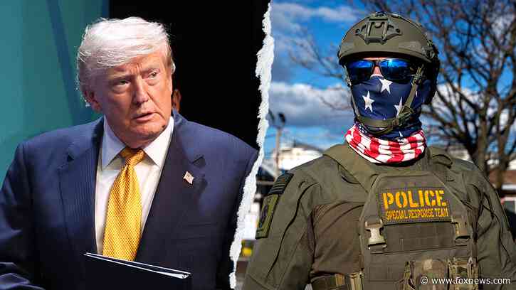 Trump’s swift ICE reversal hailed for showing 'confidence' in frontline agents