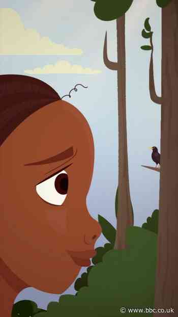 Why listening to birdsong is good for you
