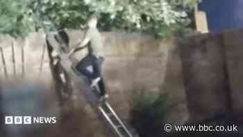Theft suspect talked down from tree after two hours