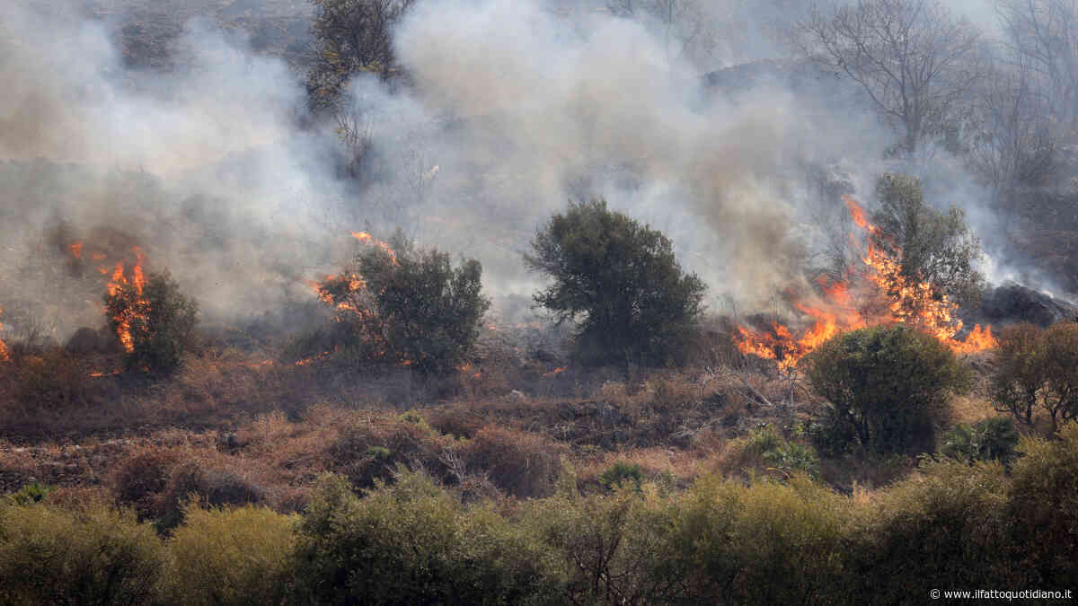 Incendi boschivi, in Italia già andati in fumo oltre 13mila campi da calcio: aumento del 36% nel 2026 | Il rapporto di Legambiente