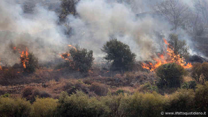 Incendi boschivi, in Italia già andati in fumo oltre 13mila campi da calcio: aumento del 36% nel 2026 | Il rapporto di Legambiente