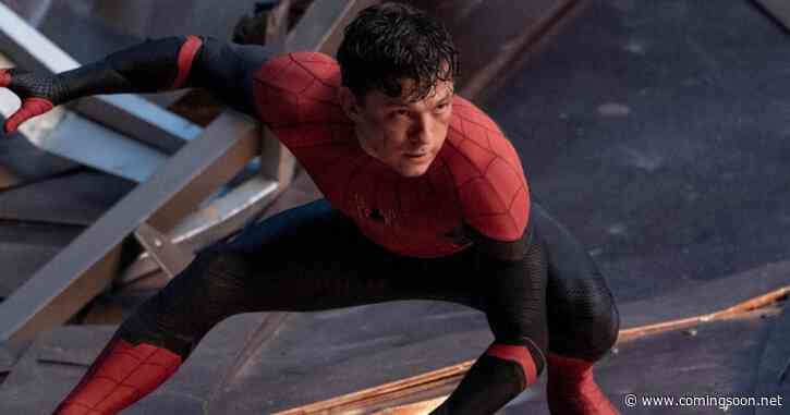Punisher’s Spider-Man 4 Role Has a Key Link to No Way Home’s Ending