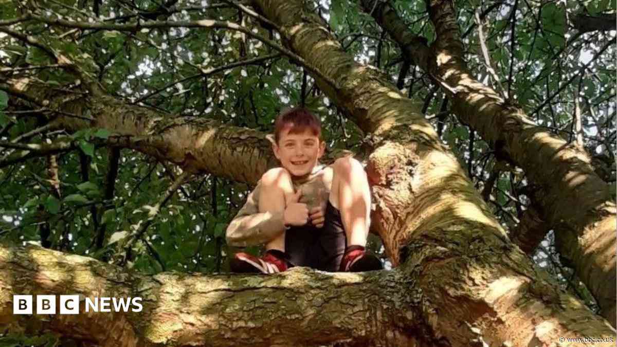 Boy, 11, died after crossing road to his mother