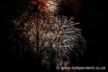Noisy fireworks face potential ban under new government plans