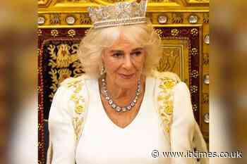 Prince Harry Faces Royal Reality as Queen Camilla Becomes the 'Non-Negotiable' Key to King Charles Reconciliation