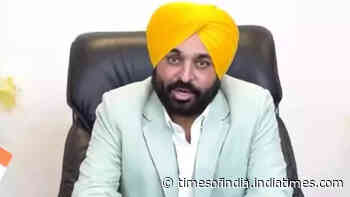 'Everyone does naarebaazi in democracy but ... ': Why Supreme Court told Chandigarh admin to 'argue on merits' in Bhagwant Mann case