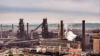 Labour nationalises British Steel to protect 'vital national capability' but Tories warn against 'blank cheque' for industry
