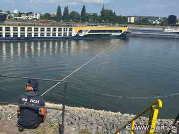 Hotelschiff auf Rhein in Bonn ist frei