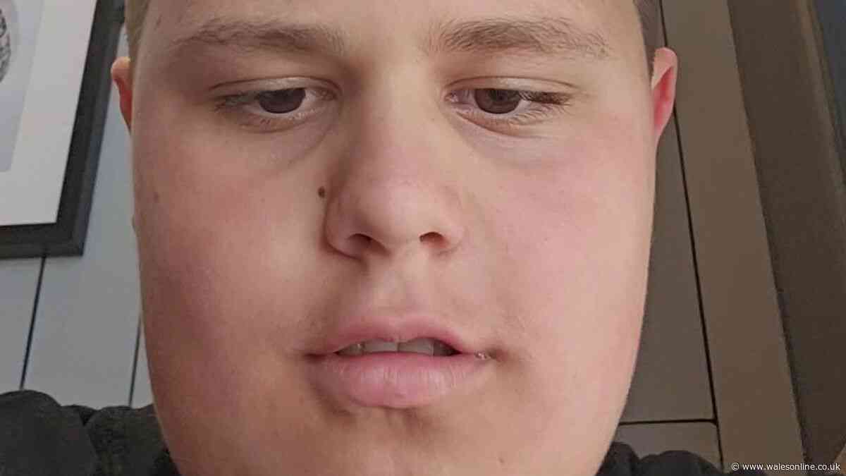 Concern for welfare of missing boy as urgent search launched in Cardiff