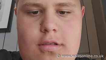 Concern for welfare of missing boy as urgent search launched in Cardiff