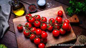 Difference between cherry and heritage tomatoes explained – one is healthier