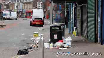 Cardiff suburb with leafy streets ranked the worst in the city for litter fines