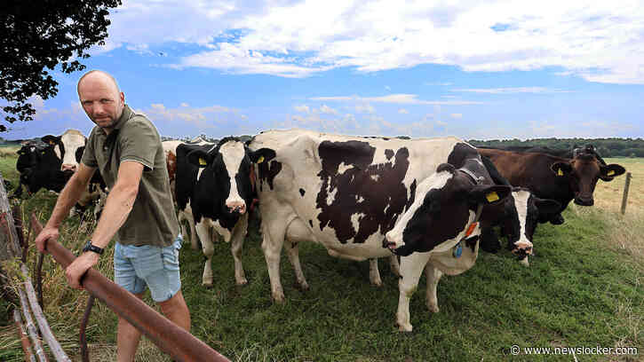 Boeren hoopten vurig op herziening EU-mestregels, maar vangen bot: ’Er zou een nieuwe wind waaien door het landbouwbeleid’
