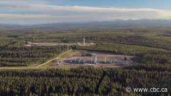 Another AI data centre proposed for rural Alberta