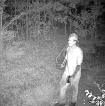 OCSO seeks to identify two in theft investigation