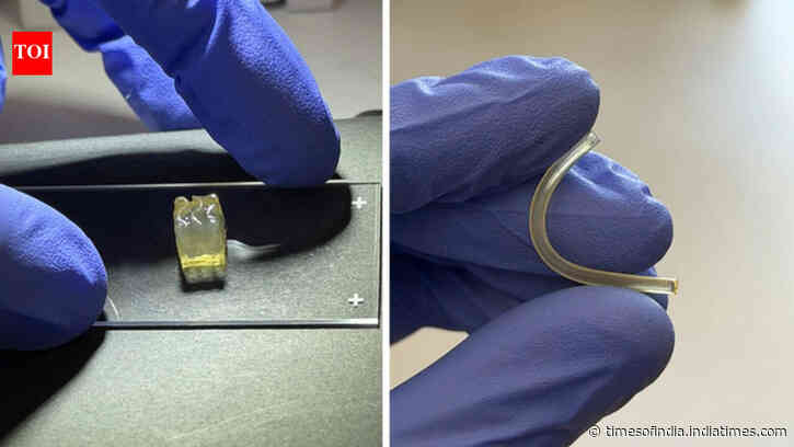 Scientists create human organs in space for the first time in a microgravity environment