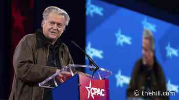 Bannon: White House officials leaking to MS NOW