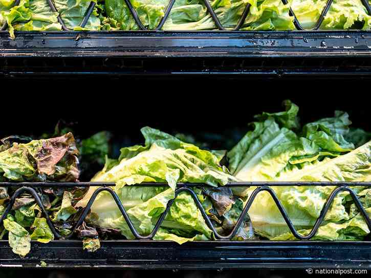 'Watery diarrhea' cases surge in Quebec, as Michigan identifies lettuce as possible source of outbreak