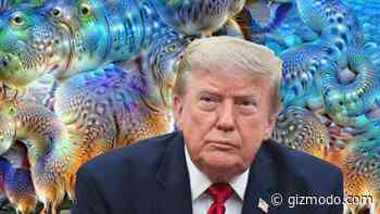 All the Times Trump Has Falsely Claimed Something Is AI
